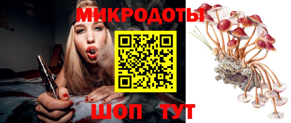 Галлюциногенные грибы Psilocybine cubensis  купить   Галлюциногенные грибы GOLDEN TEACHER  Баксан  Вход с VPN 